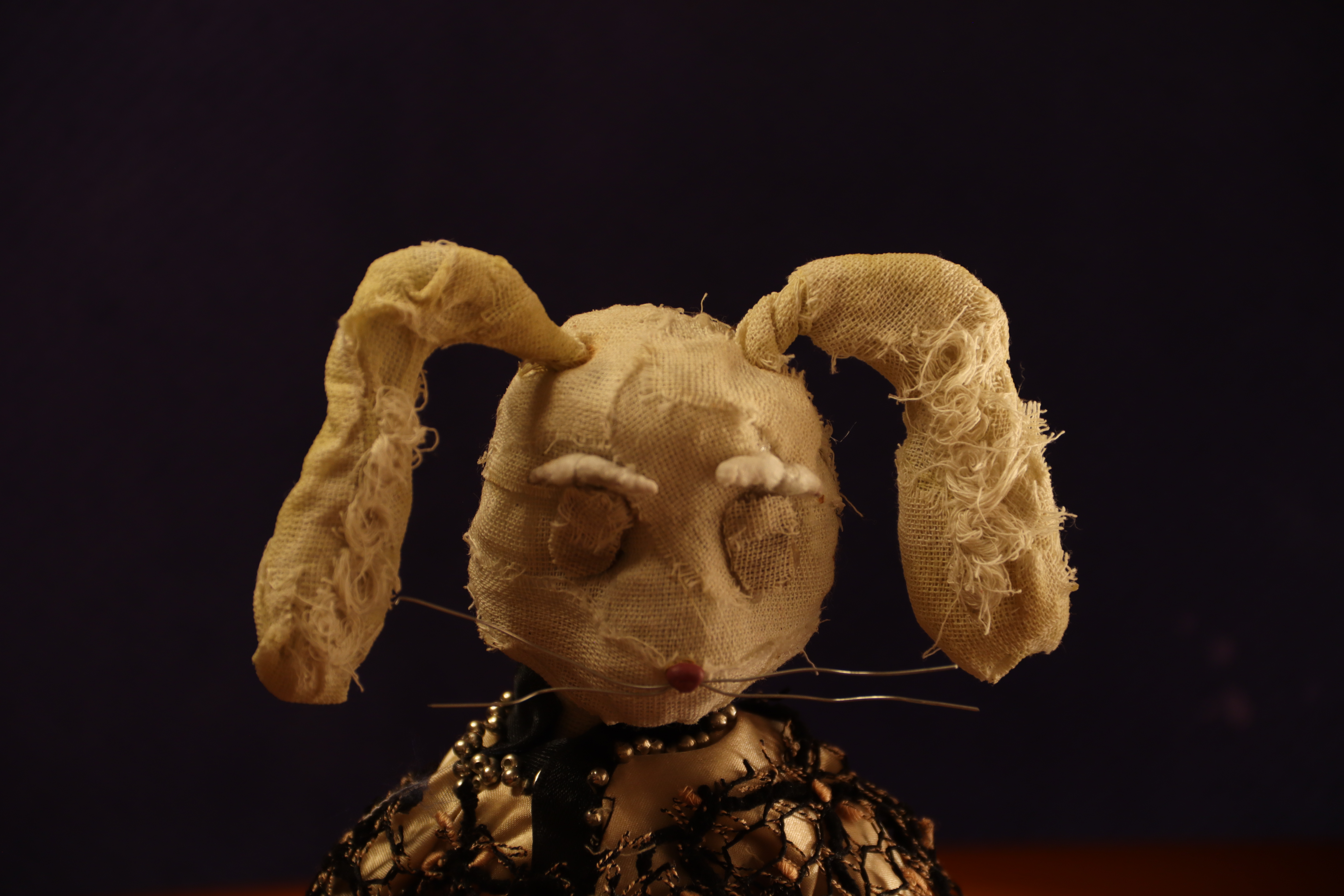 Portfolio image